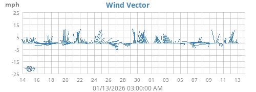 Wind Vector