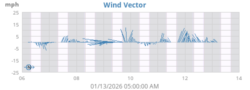 Wind Vector